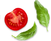 chefeShape1_1