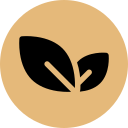 vegan 1